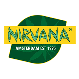 nirvana-seeds
